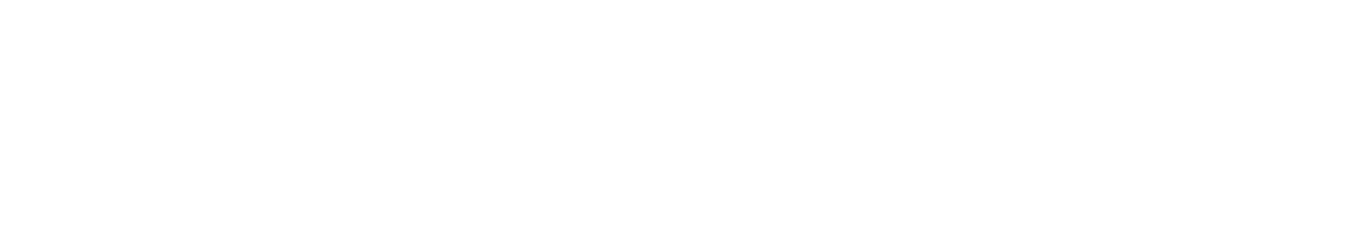 Nexday Logo